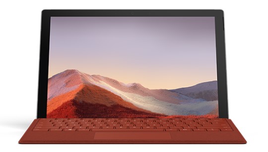 扎鲁特清洁和维护 Surface